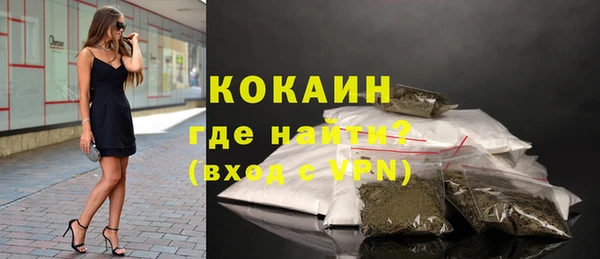 стаф Шали