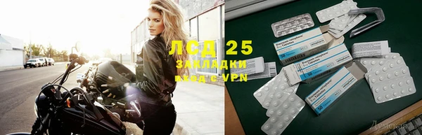 прущий лед Новозыбков