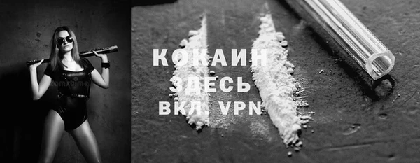 прущие крисы Болотное