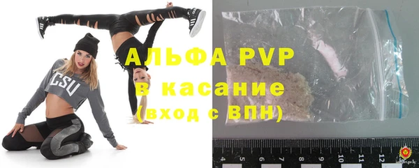 индика Новокубанск