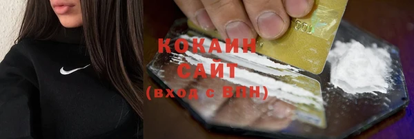 индика Новокубанск