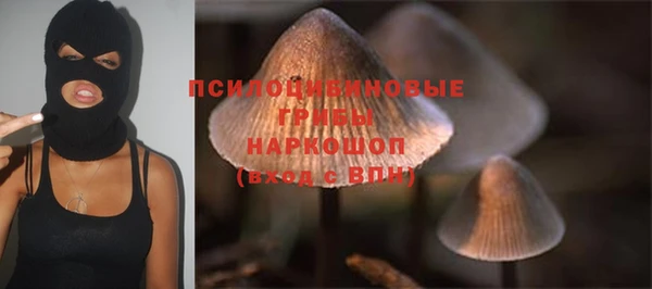 индика Новокубанск