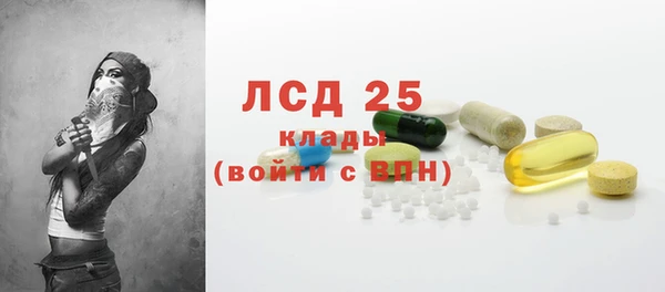 индика Новокубанск