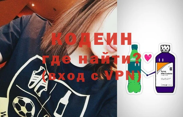 индика Новокубанск