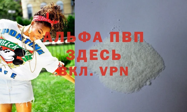 индика Новокубанск