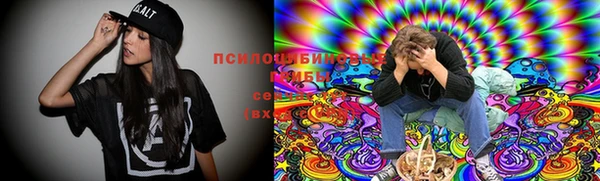 прущий лед Новозыбков