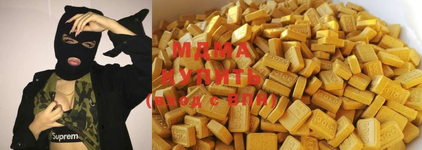 индика Новокубанск