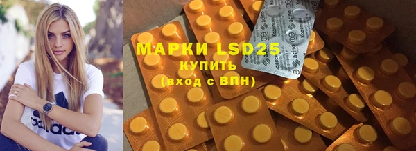 индика Новокубанск