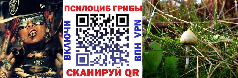 Галлюциногенные грибы Cubensis  Ряжск 