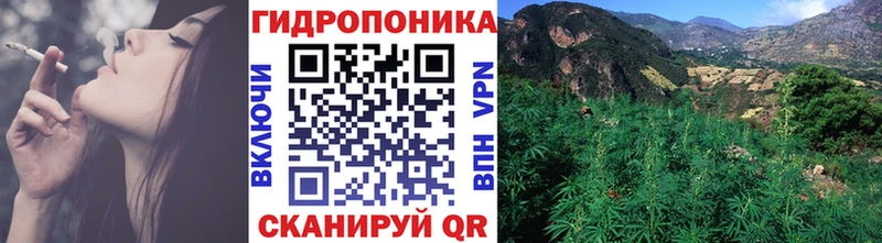 Марихуана сатива  Ряжск 